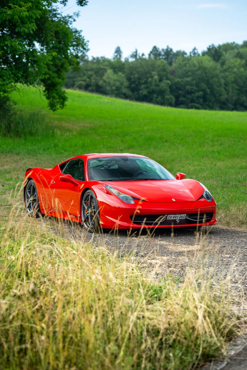 Ferrari 458 Italia zwischen hohem Gras und grünen Feldern